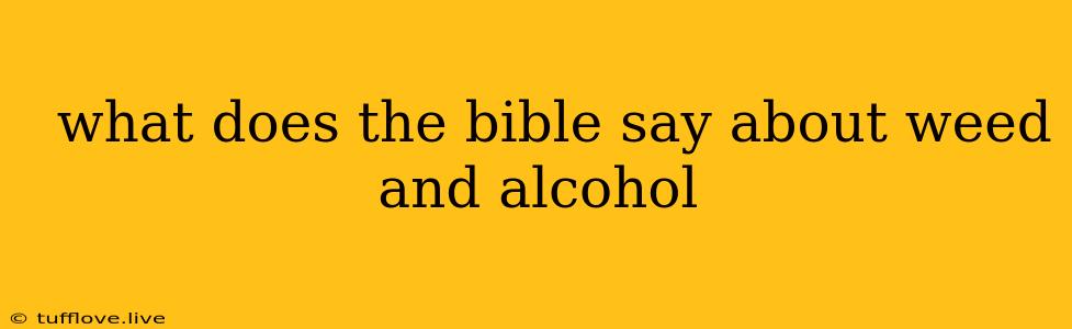  What Does The Bible Say About Weed And Alcohol