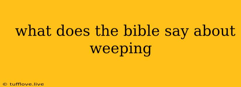  What Does The Bible Say About Weeping