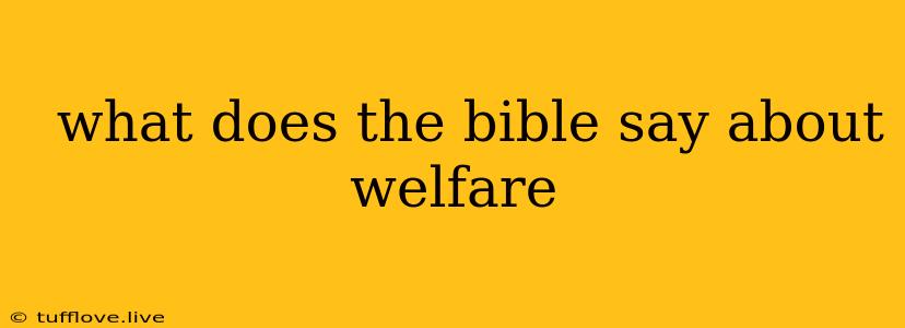  What Does The Bible Say About Welfare