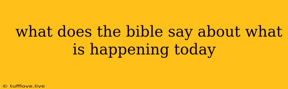  What Does The Bible Say About What Is Happening Today