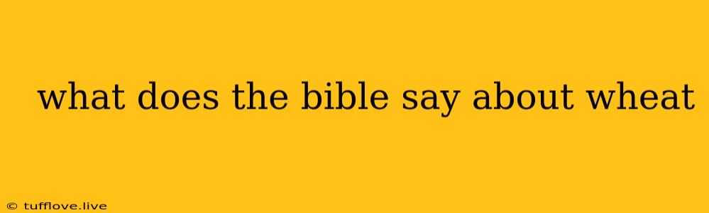  What Does The Bible Say About Wheat