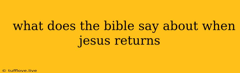  What Does The Bible Say About When Jesus Returns