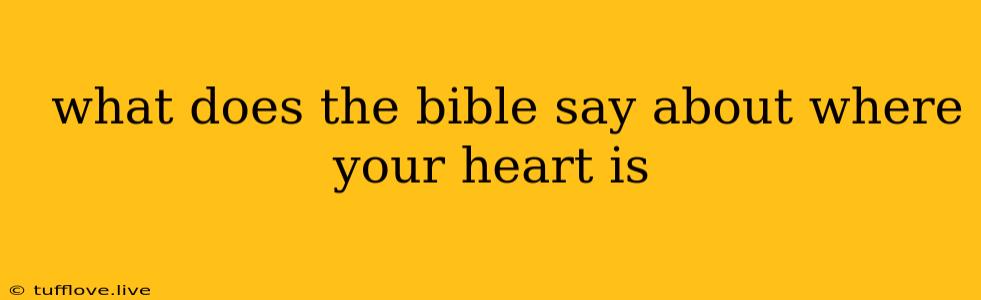  What Does The Bible Say About Where Your Heart Is