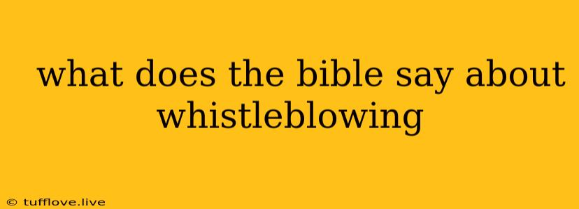  What Does The Bible Say About Whistleblowing