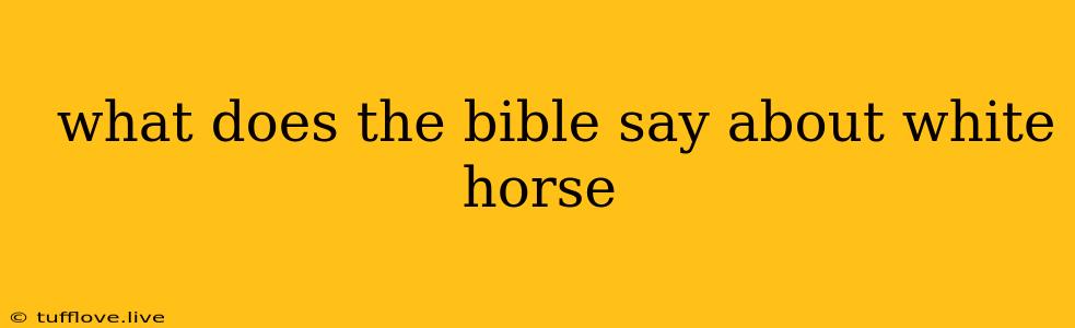  What Does The Bible Say About White Horse