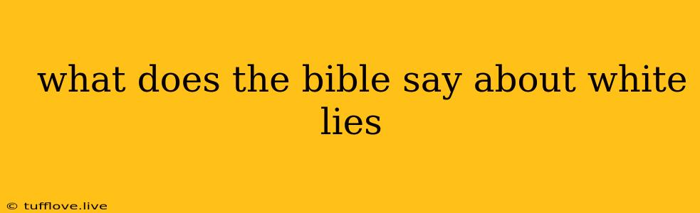  What Does The Bible Say About White Lies