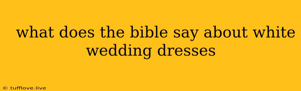  What Does The Bible Say About White Wedding Dresses