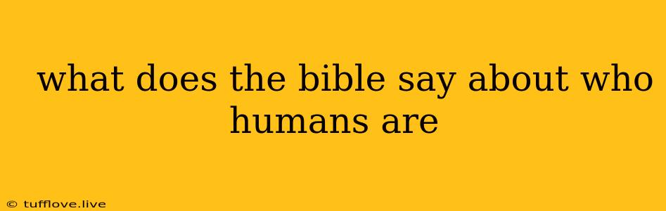  What Does The Bible Say About Who Humans Are