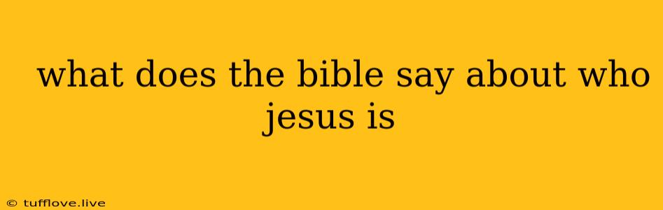  What Does The Bible Say About Who Jesus Is