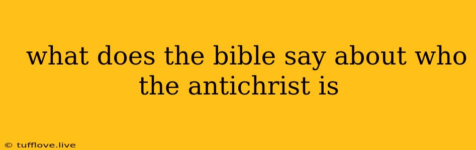  What Does The Bible Say About Who The Antichrist Is