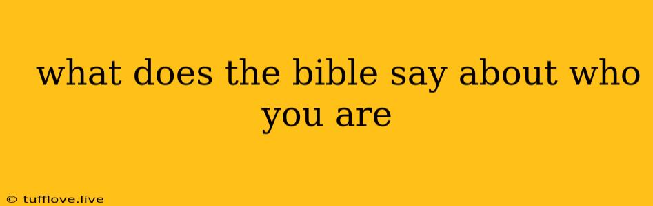  What Does The Bible Say About Who You Are