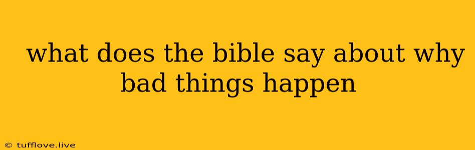  What Does The Bible Say About Why Bad Things Happen