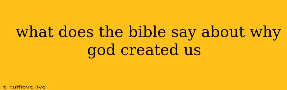  What Does The Bible Say About Why God Created Us