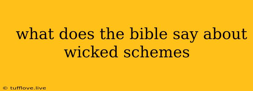  What Does The Bible Say About Wicked Schemes