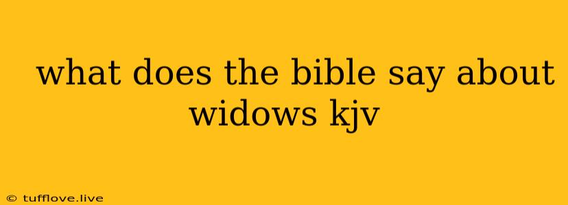  What Does The Bible Say About Widows Kjv