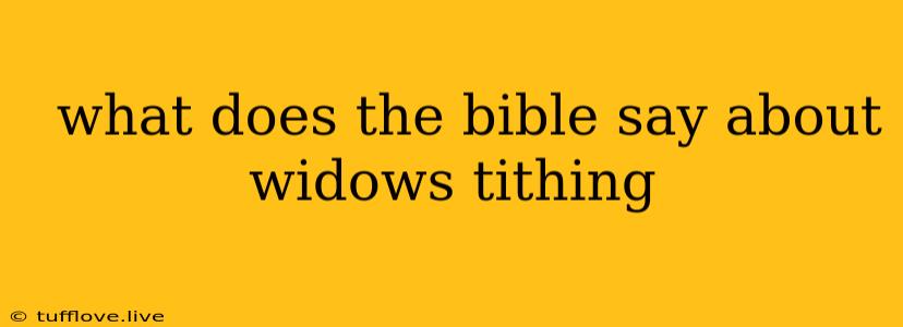  What Does The Bible Say About Widows Tithing