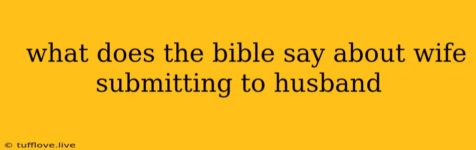  What Does The Bible Say About Wife Submitting To Husband