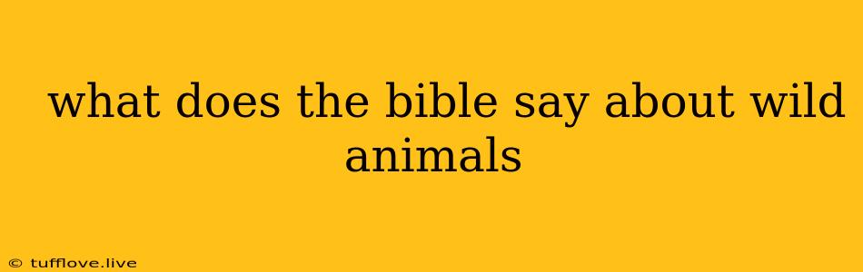  What Does The Bible Say About Wild Animals