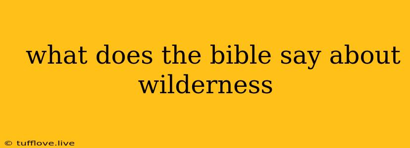  What Does The Bible Say About Wilderness