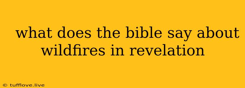  What Does The Bible Say About Wildfires In Revelation