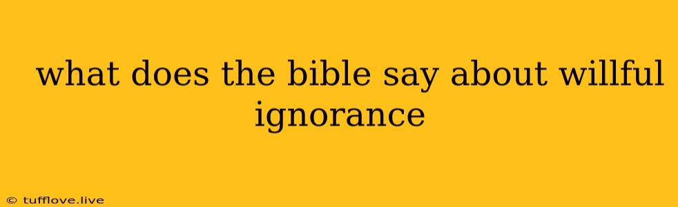  What Does The Bible Say About Willful Ignorance