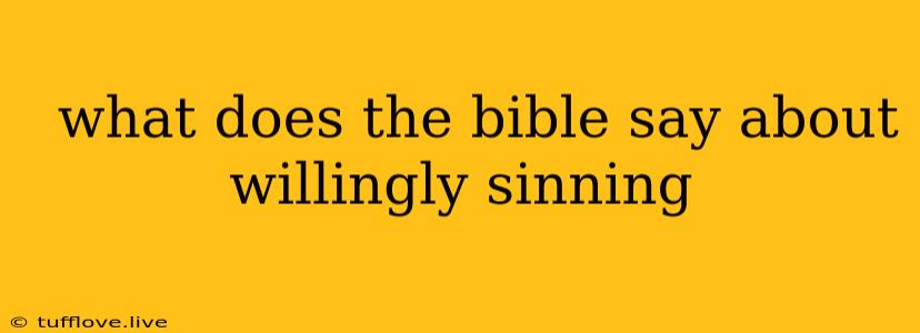  What Does The Bible Say About Willingly Sinning