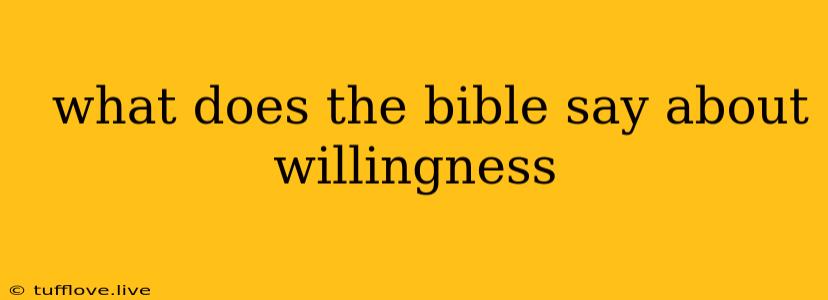  What Does The Bible Say About Willingness