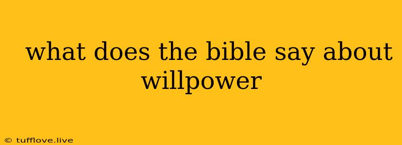  What Does The Bible Say About Willpower