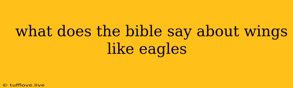  What Does The Bible Say About Wings Like Eagles