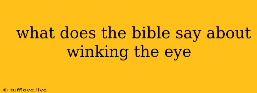  What Does The Bible Say About Winking The Eye