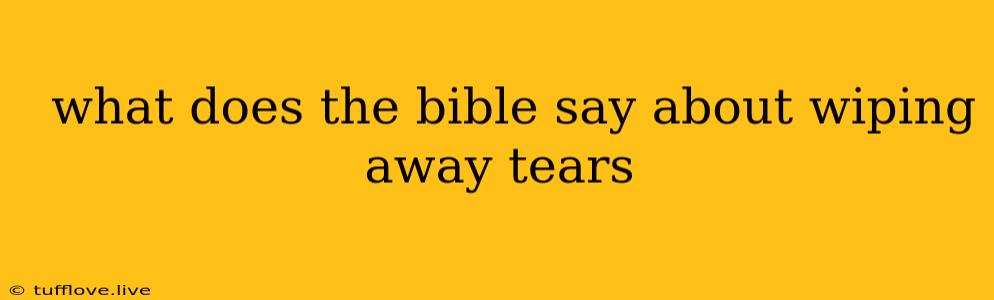  What Does The Bible Say About Wiping Away Tears