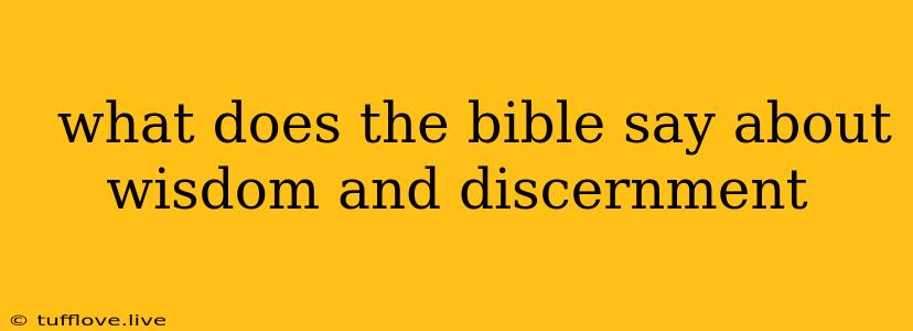  What Does The Bible Say About Wisdom And Discernment