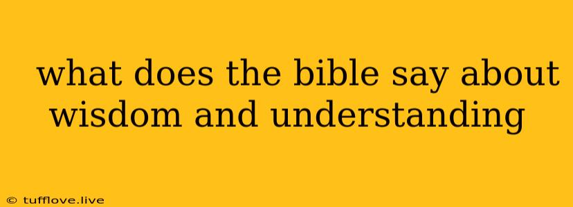  What Does The Bible Say About Wisdom And Understanding