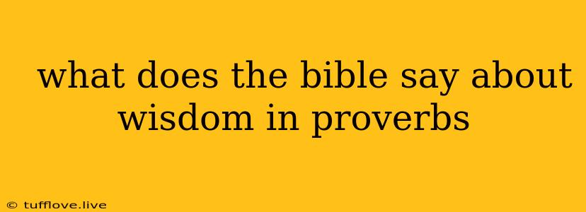  What Does The Bible Say About Wisdom In Proverbs