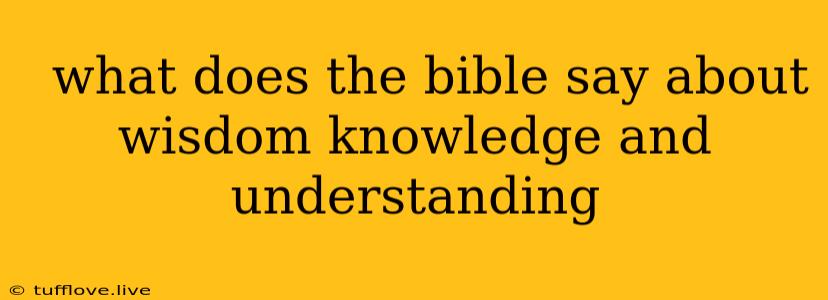  What Does The Bible Say About Wisdom Knowledge And Understanding