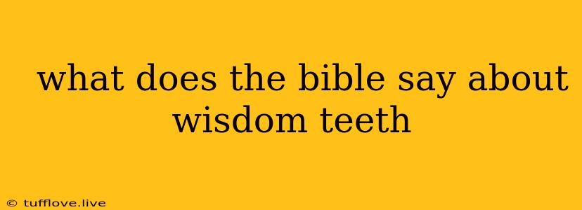  What Does The Bible Say About Wisdom Teeth