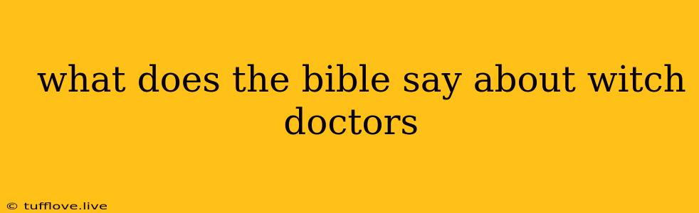  What Does The Bible Say About Witch Doctors