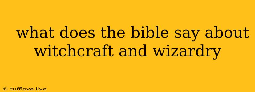  What Does The Bible Say About Witchcraft And Wizardry