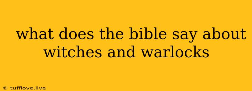  What Does The Bible Say About Witches And Warlocks