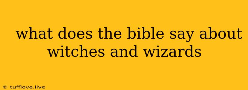  What Does The Bible Say About Witches And Wizards