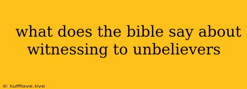  What Does The Bible Say About Witnessing To Unbelievers