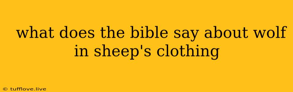  What Does The Bible Say About Wolf In Sheep's Clothing