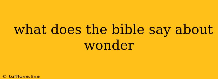  What Does The Bible Say About Wonder