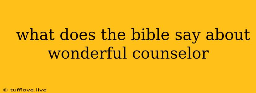  What Does The Bible Say About Wonderful Counselor