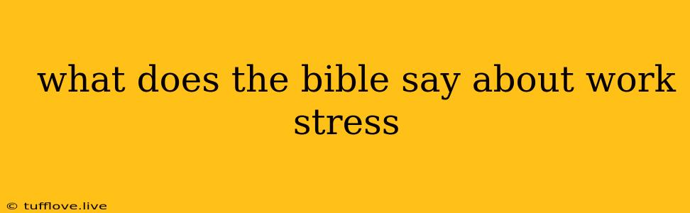  What Does The Bible Say About Work Stress