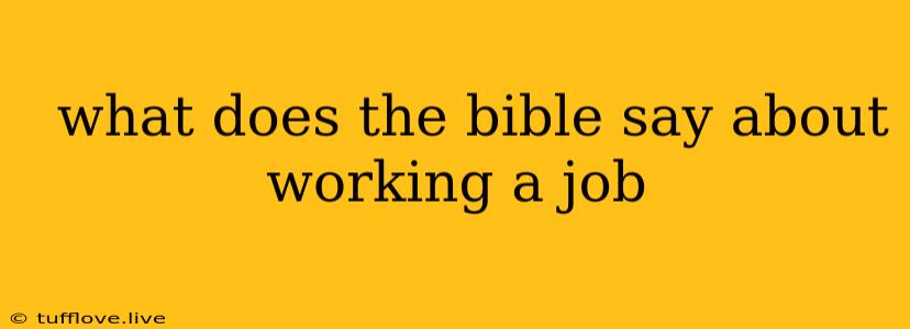  What Does The Bible Say About Working A Job