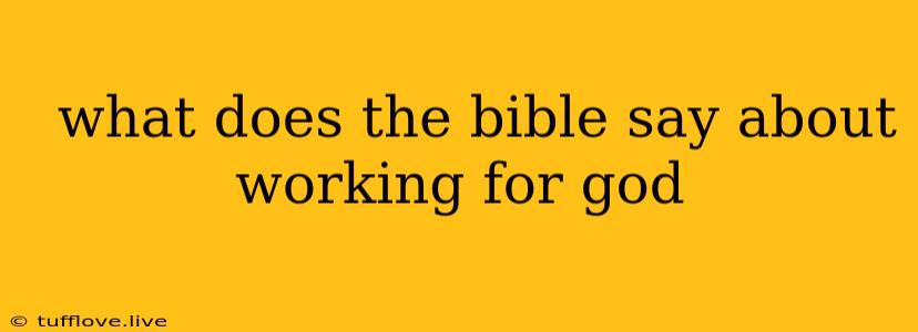  What Does The Bible Say About Working For God