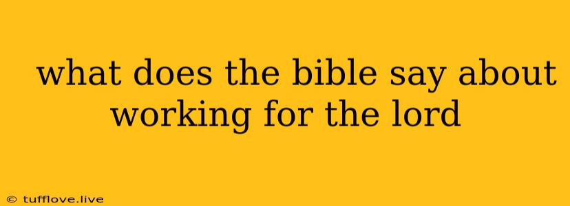  What Does The Bible Say About Working For The Lord