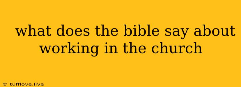  What Does The Bible Say About Working In The Church