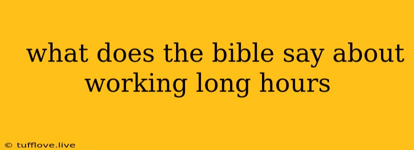  What Does The Bible Say About Working Long Hours